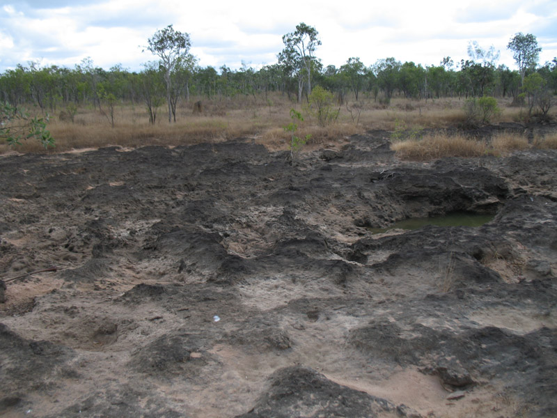 Lakefield National Park - Walkabout